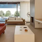 Olive View *