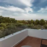 Olive View