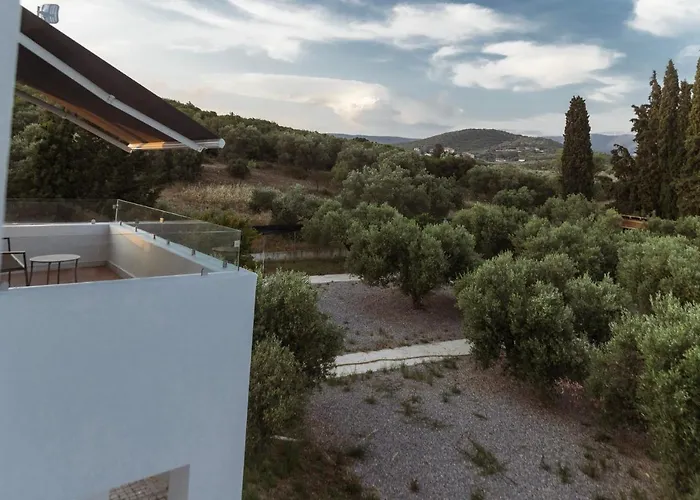 Olive View * Dikella