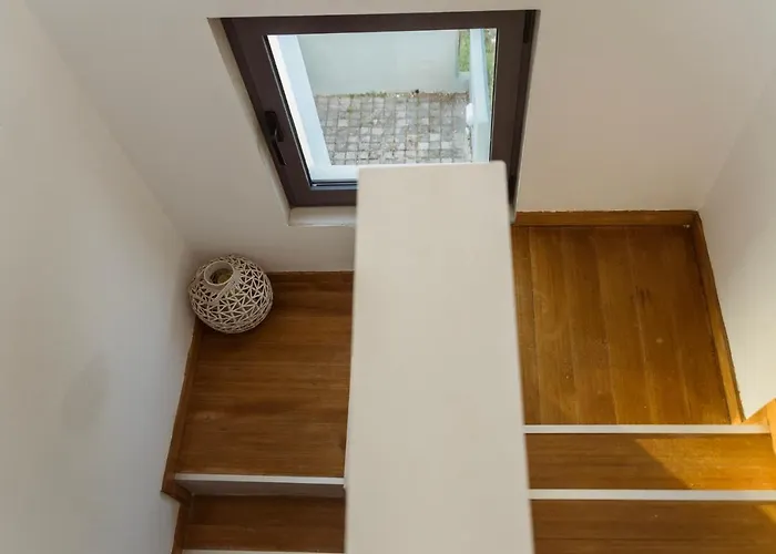 Olive View * Dikella