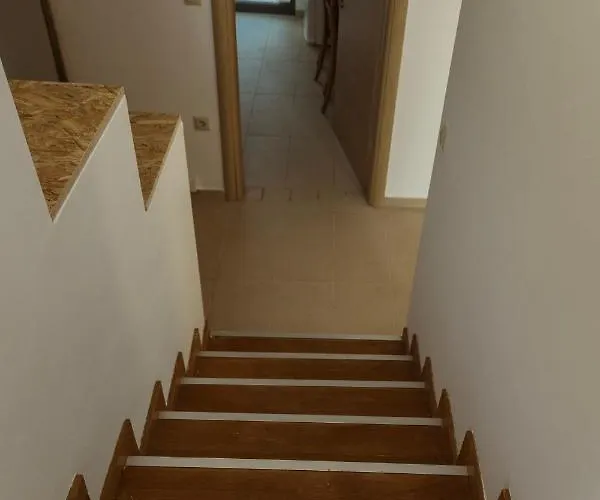 Olive View * Dikella