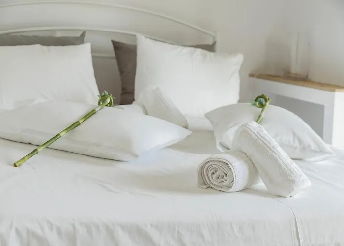 Olive View * Dikella